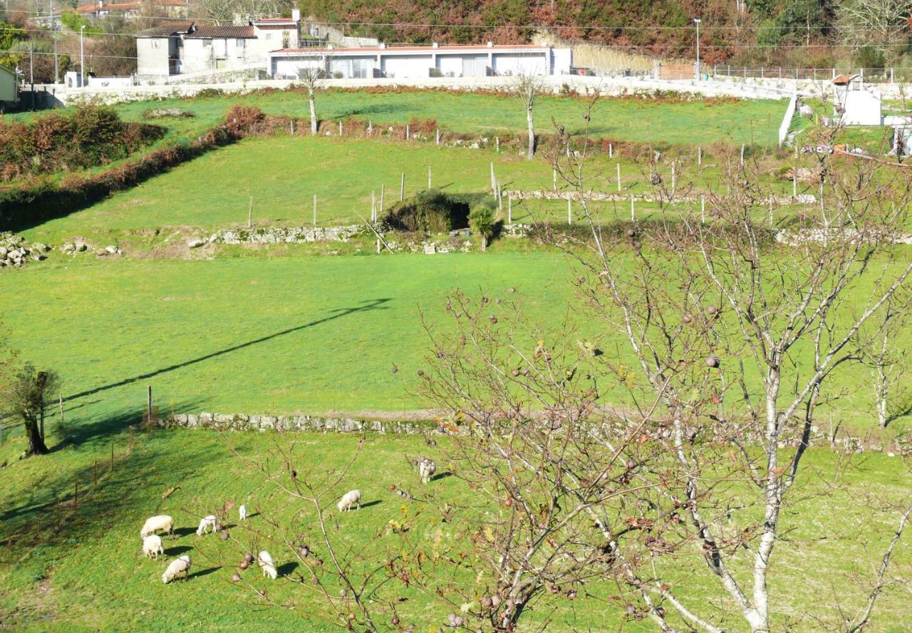 Campo Seco Villa Vieira do Minho Eksteriør bilde